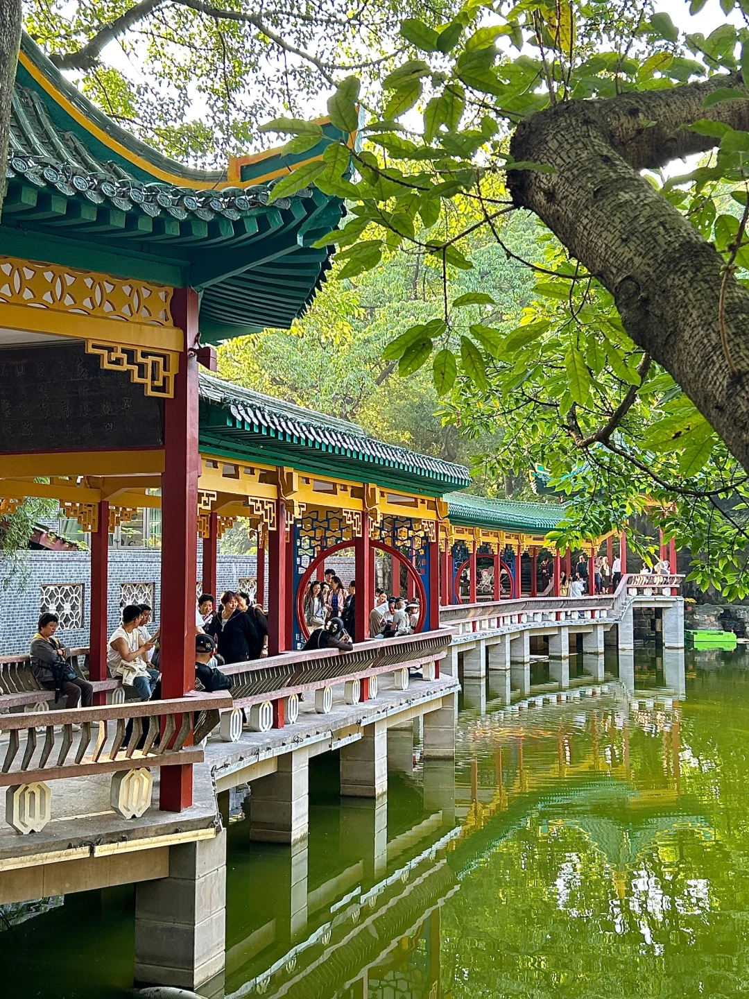 重庆坠好看的景点根本不需要花钱。。。（合集）