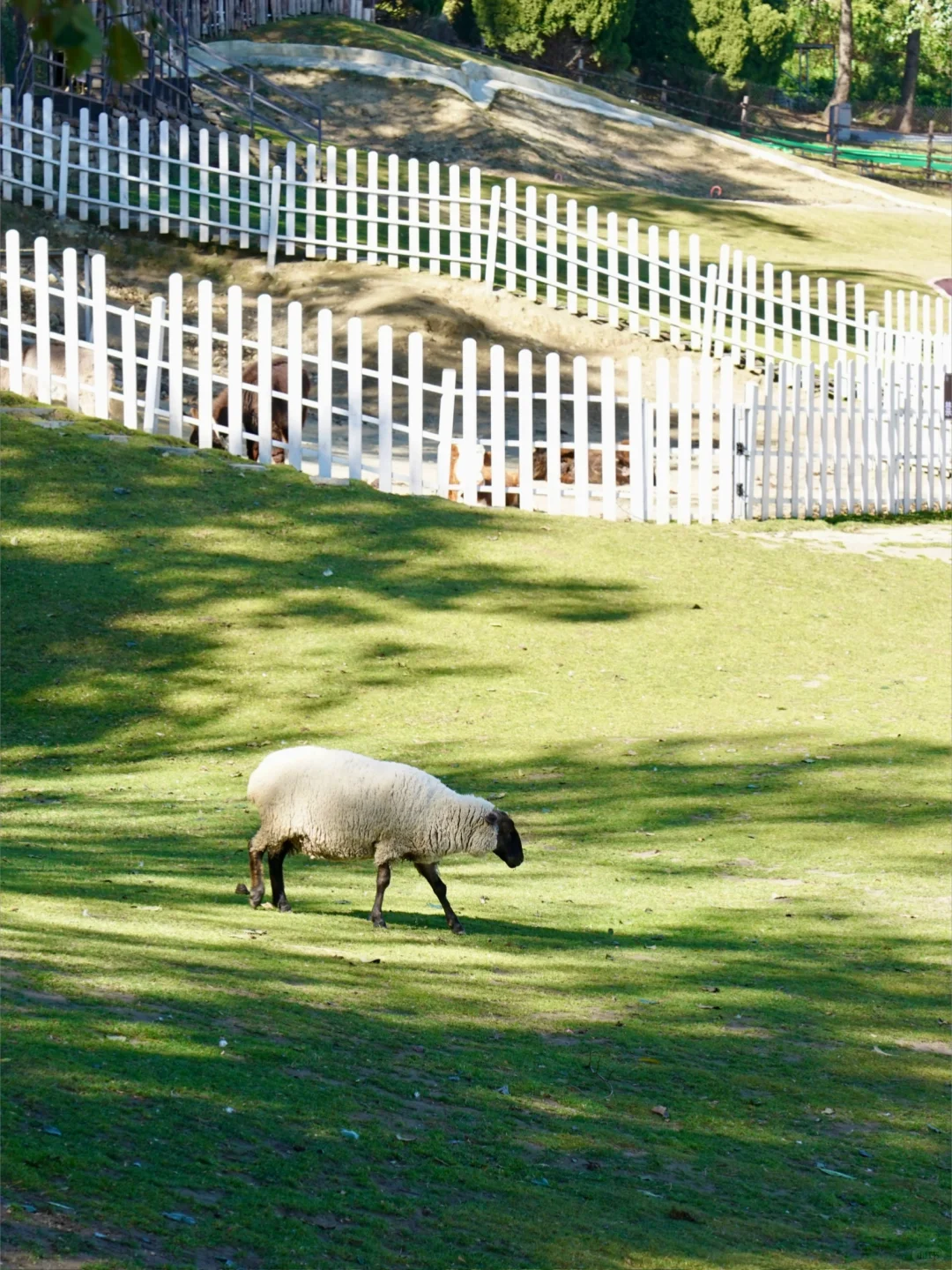 大理我很喜欢的一个地方，真的像新西兰！
