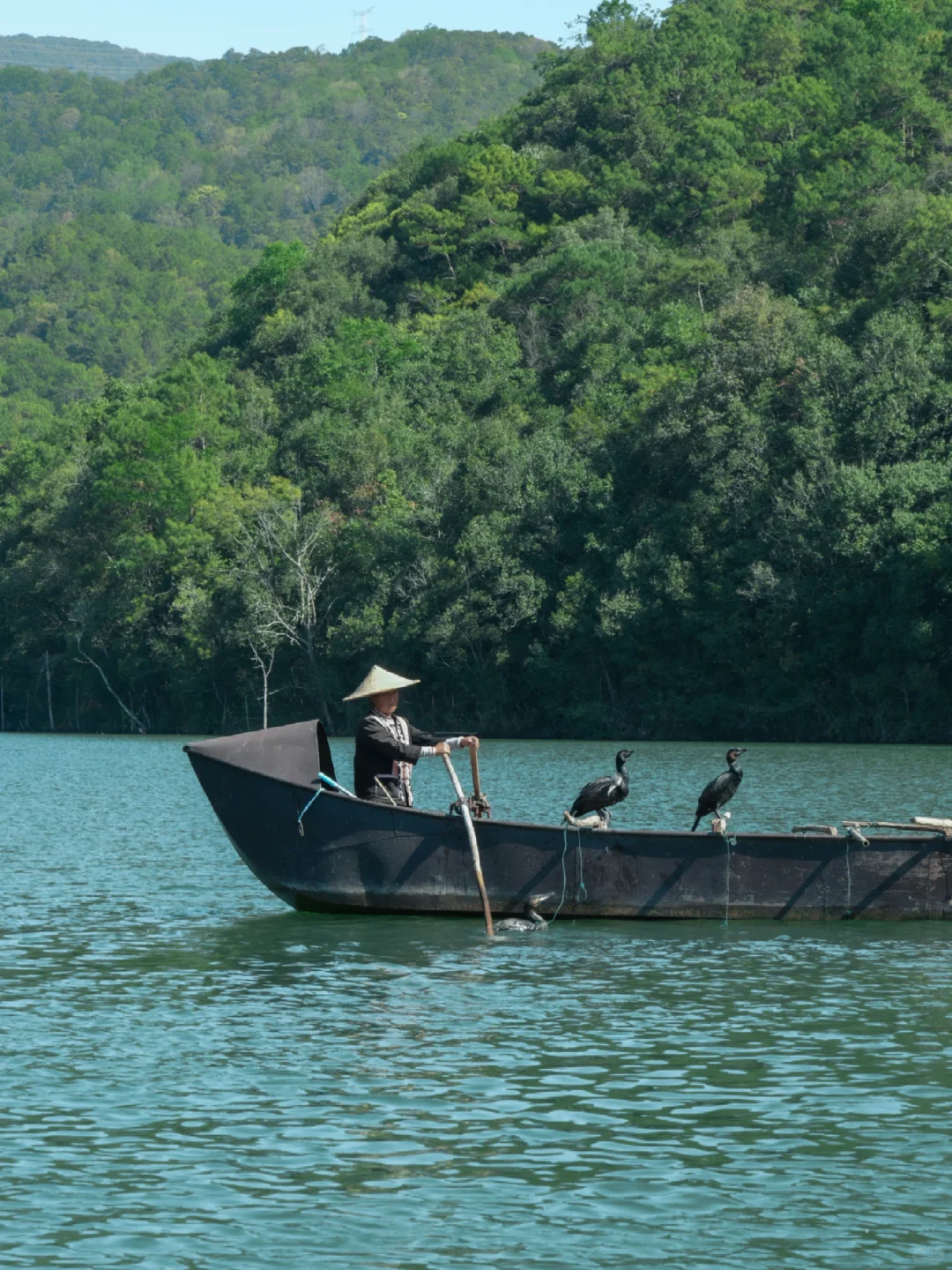 🌿穿越千年！普洱茶马古道周末游攻略📸