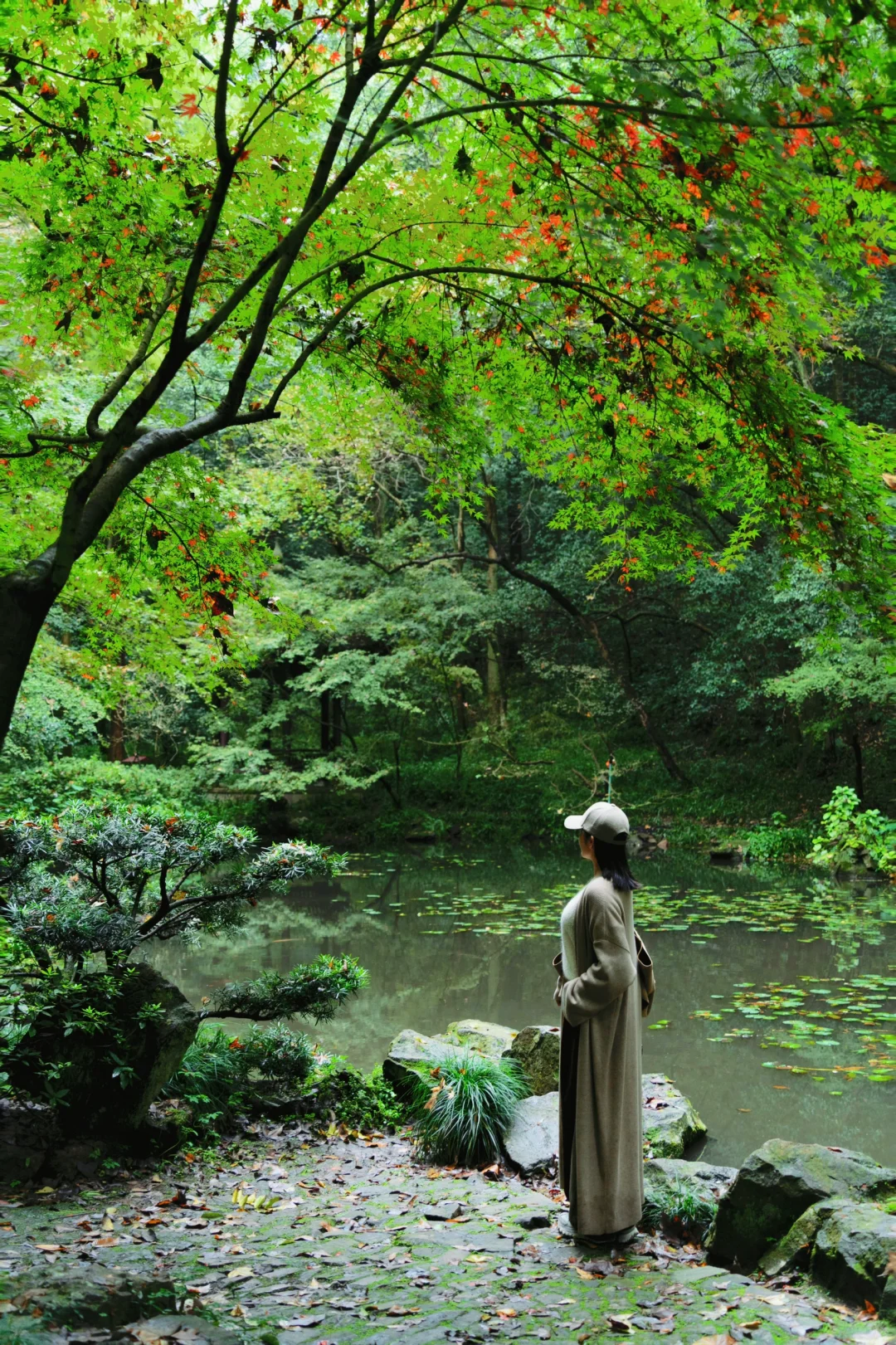 真的没人！西湖走过最舒服的city walk路线！