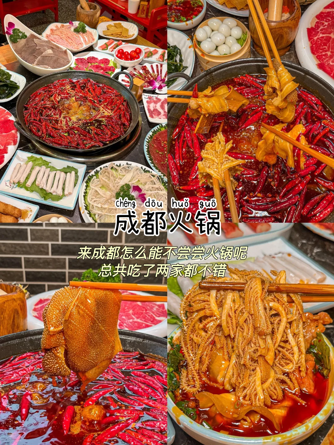 成都📍三天两夜，不废腿保姆级逛吃攻略‼️