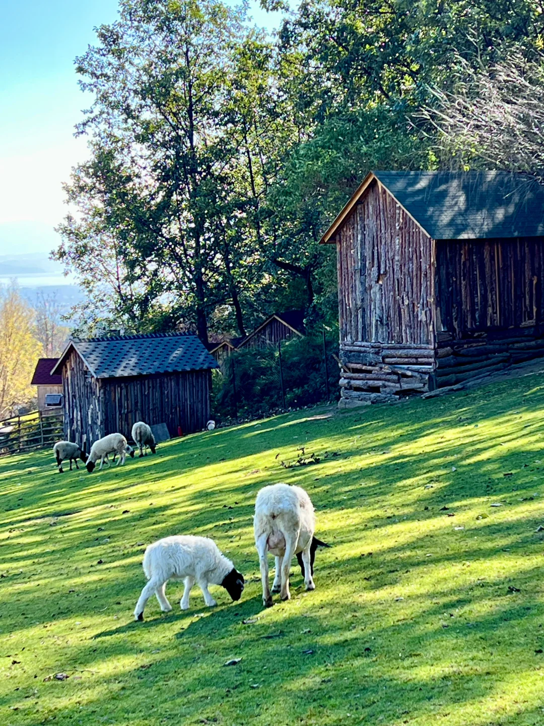 大理我很喜欢的一个地方，真的像新西兰！