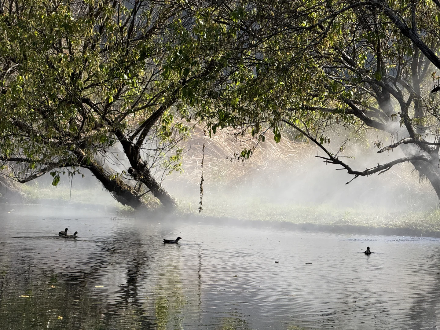 腾冲 | 和顺古镇吸氧指南🌳