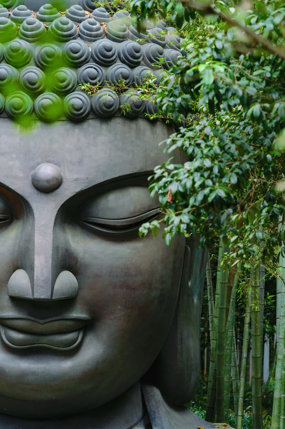 真的没人！西湖走过最舒服的city walk路线！