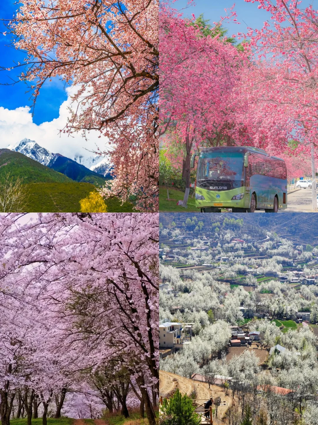 2025全年旅游计划来啦！码住让闺蜜带你去！