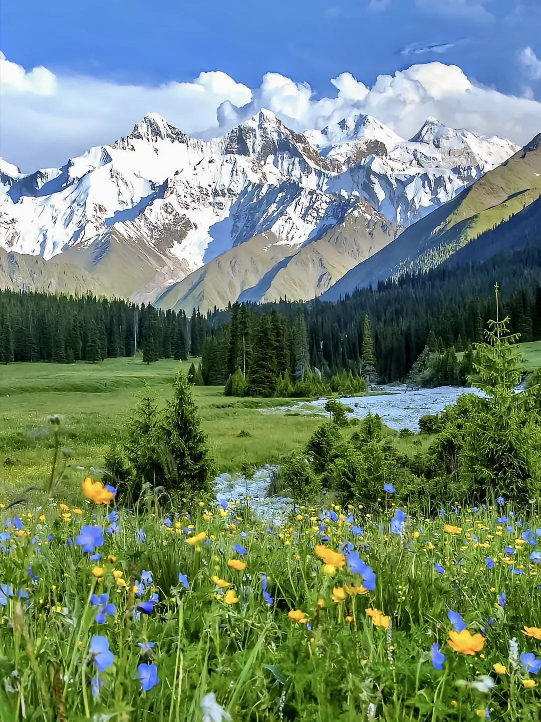 6-8月千万别去新疆伊犁！真的后劲大过失恋