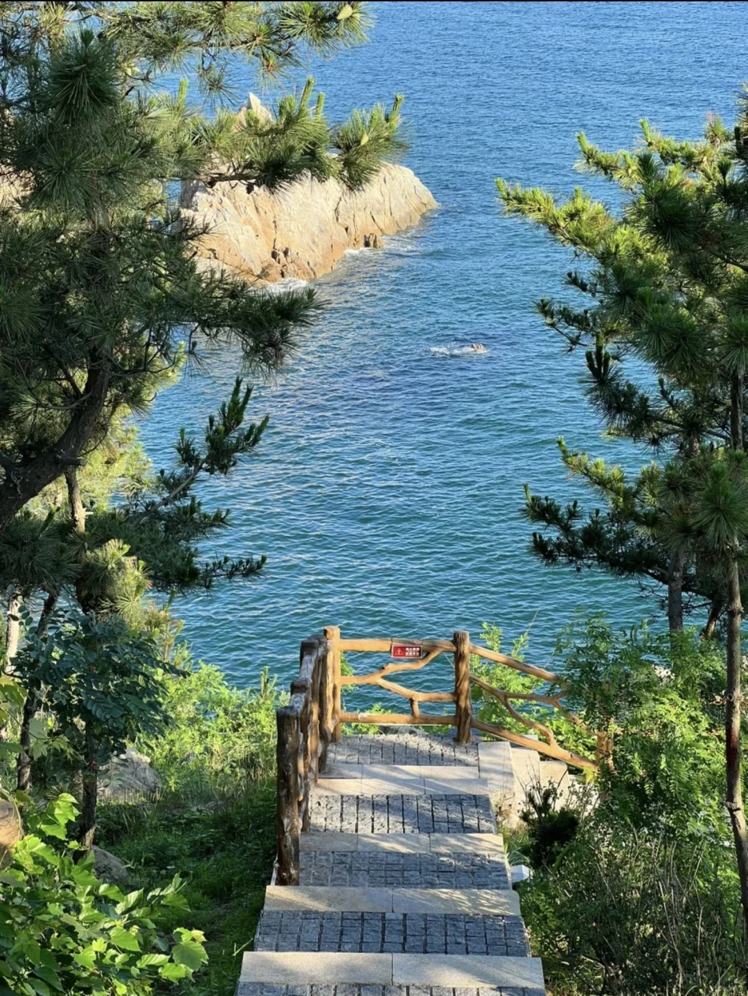 威海已回…纯干货攻略已备好✅请抄作业💯