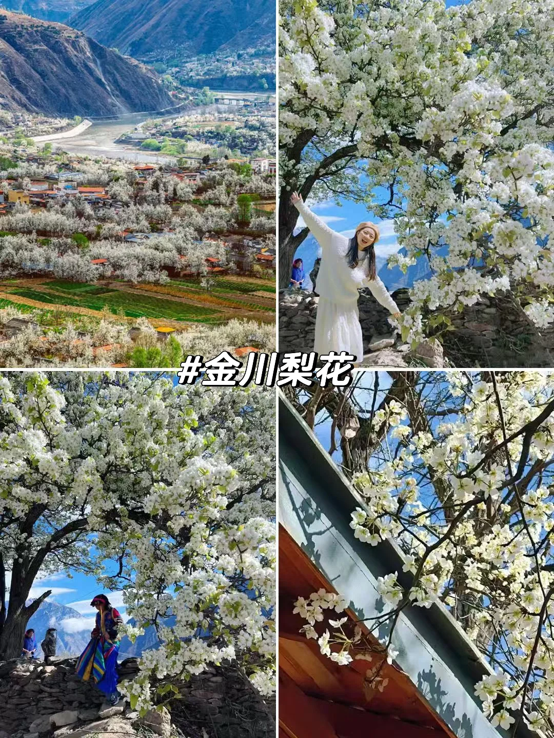 旅游推荐！接下来的3-4月是无数次的春和景明