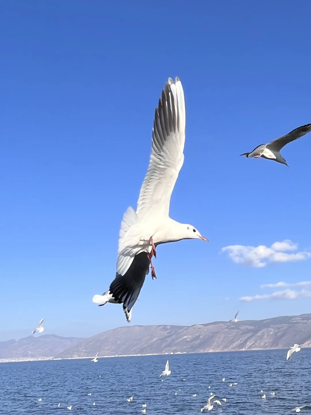 去大理一定要避雷｜J人手写版📖攻略