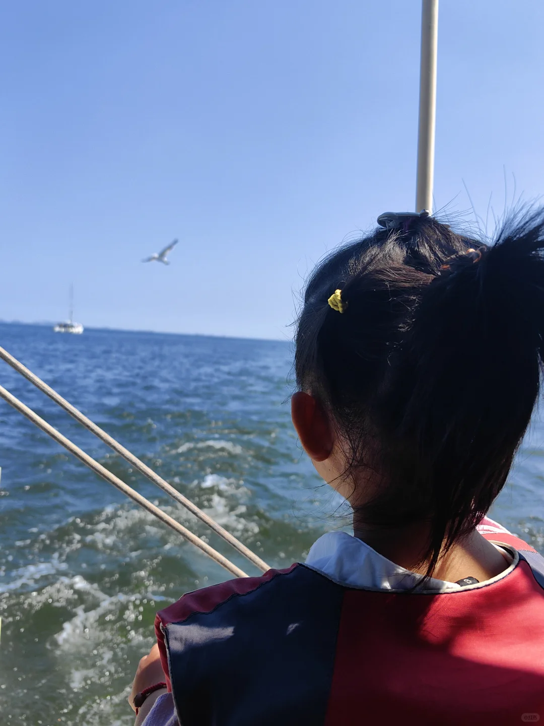 2岁小娃的2024年度旅行总结