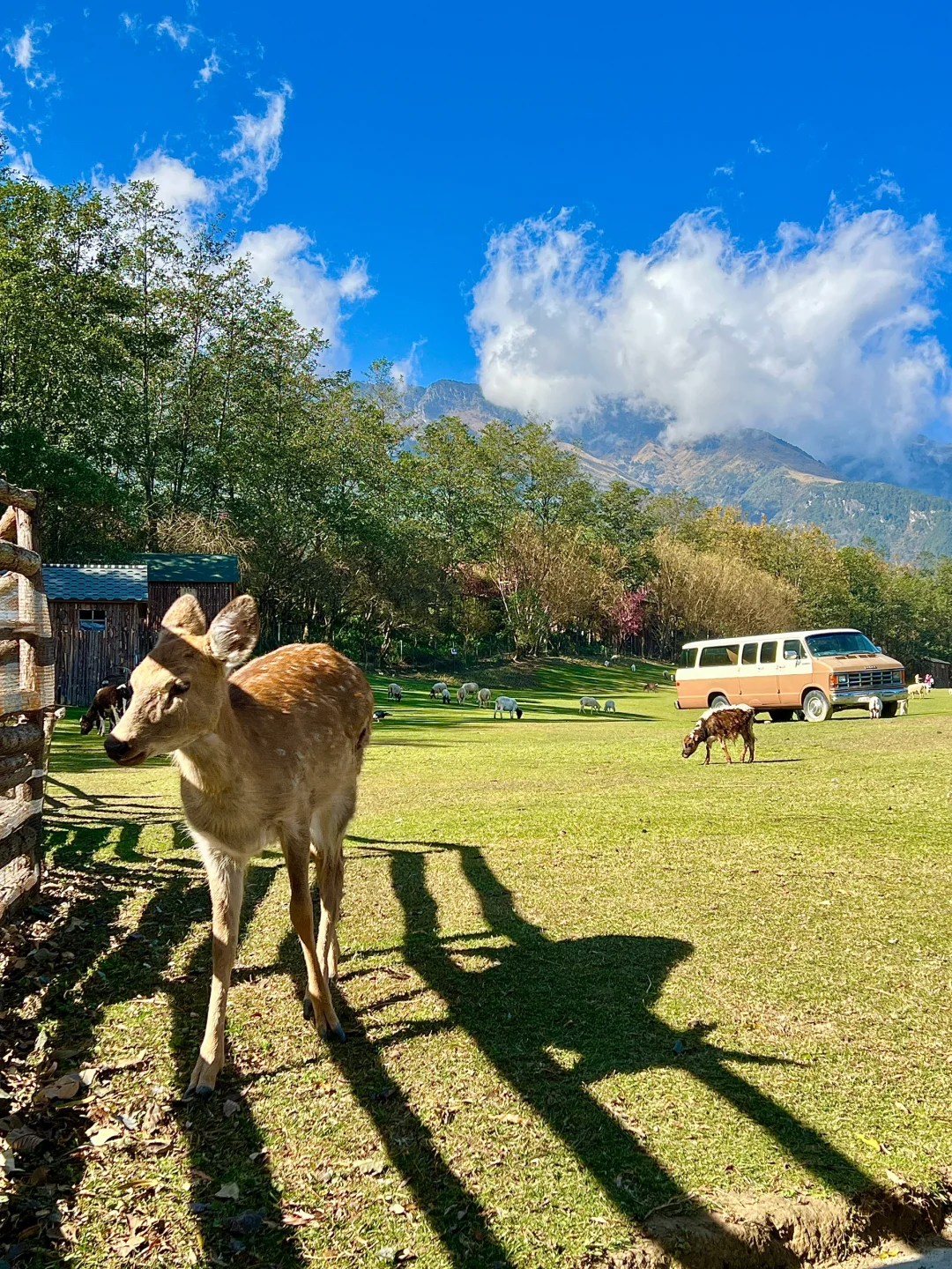 大理我很喜欢的一个地方，真的像新西兰！