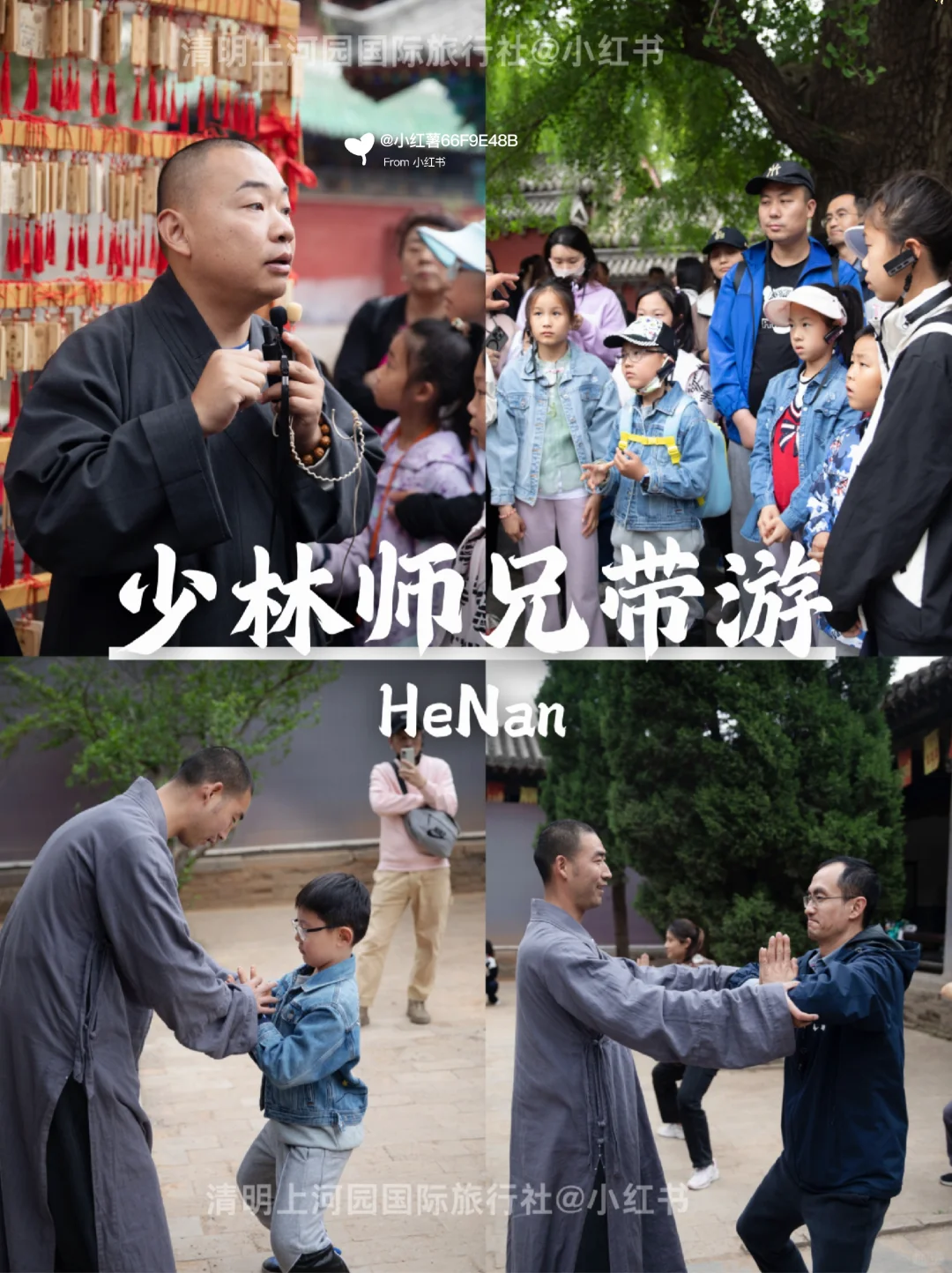 人生建议😭2-3🈷️去洛阳，要做攻略的