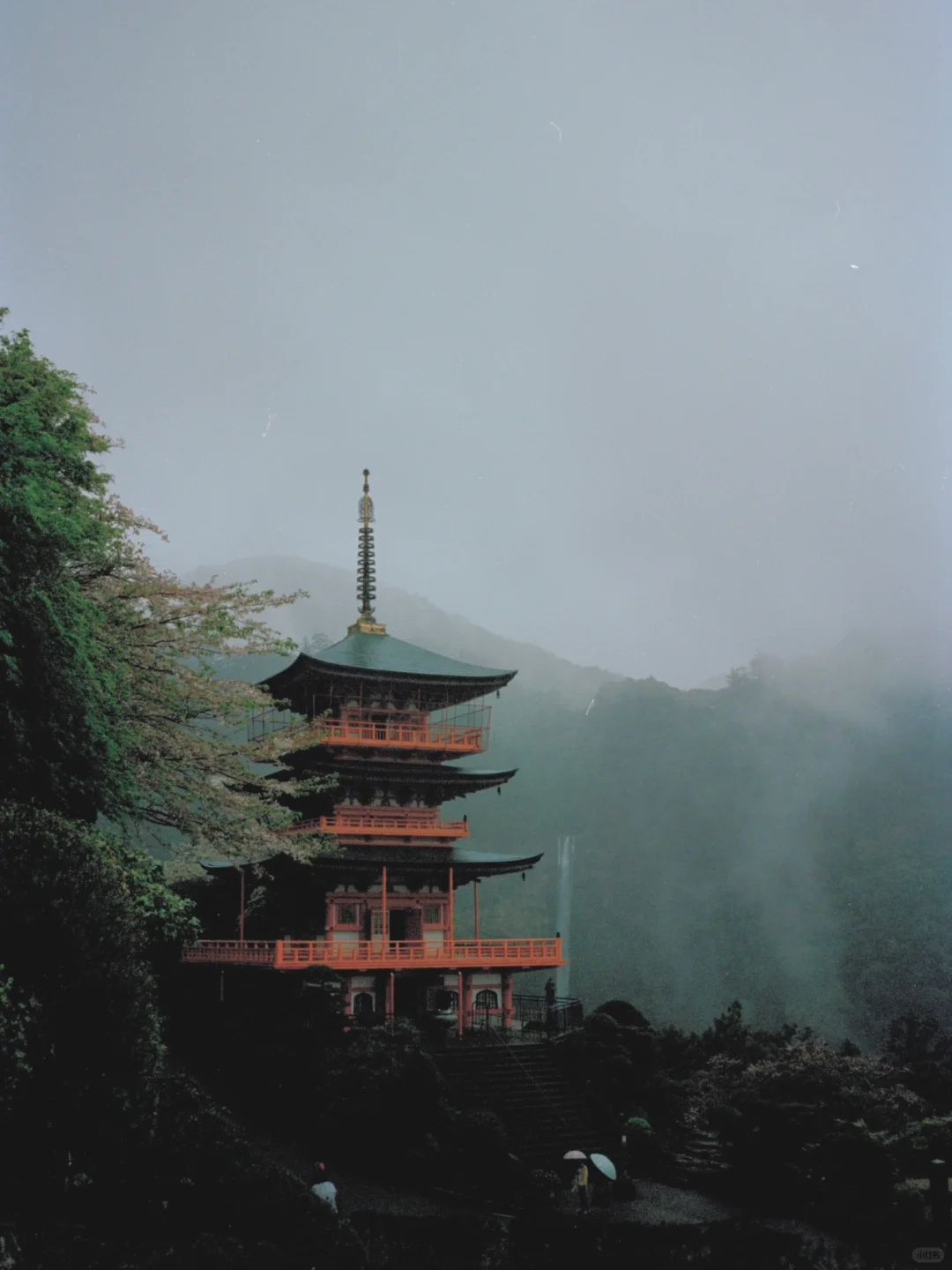 熊野古道樱花季精华路线🌸千年古道邂逅落樱