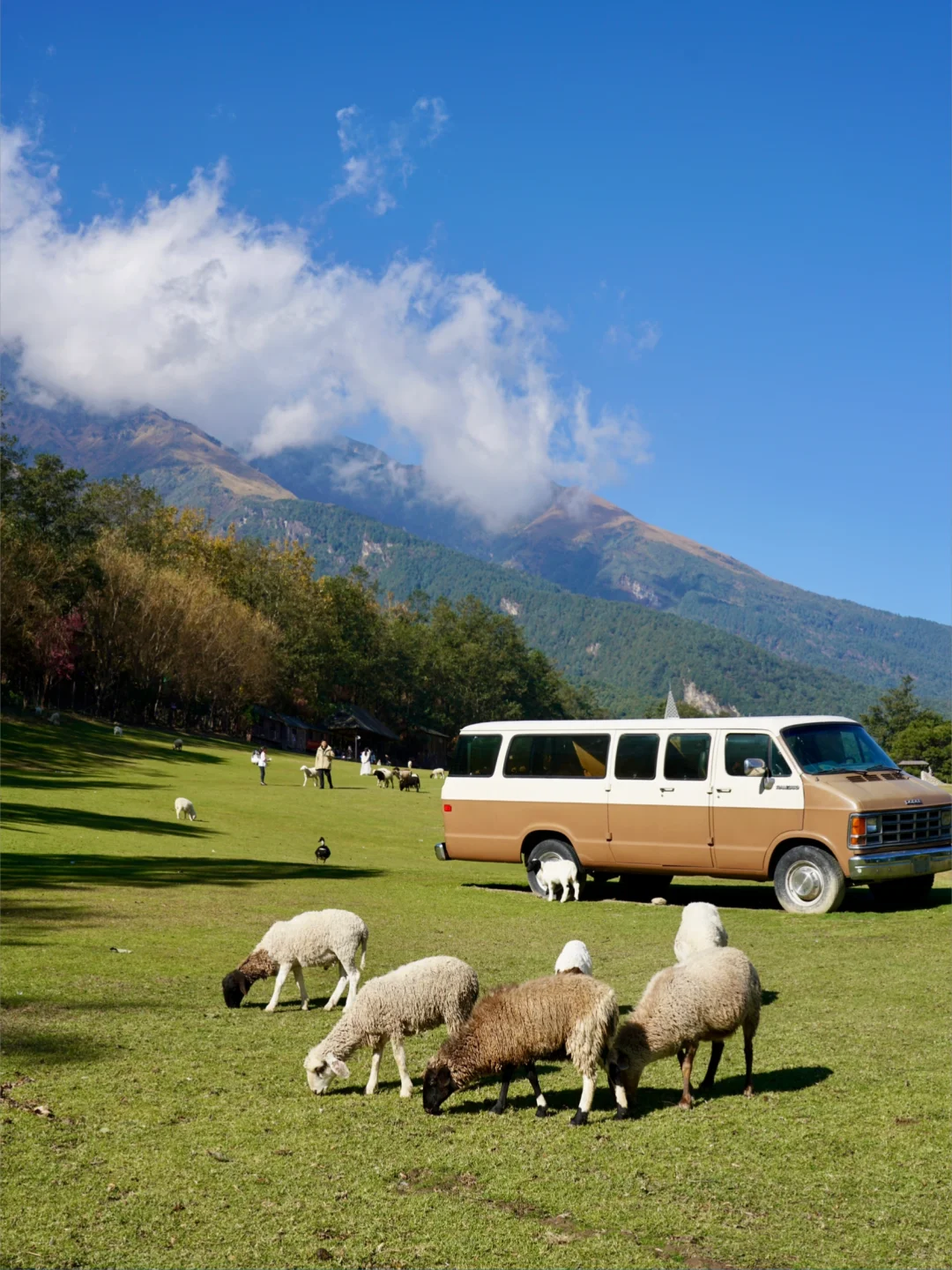 大理我很喜欢的一个地方，真的像新西兰！