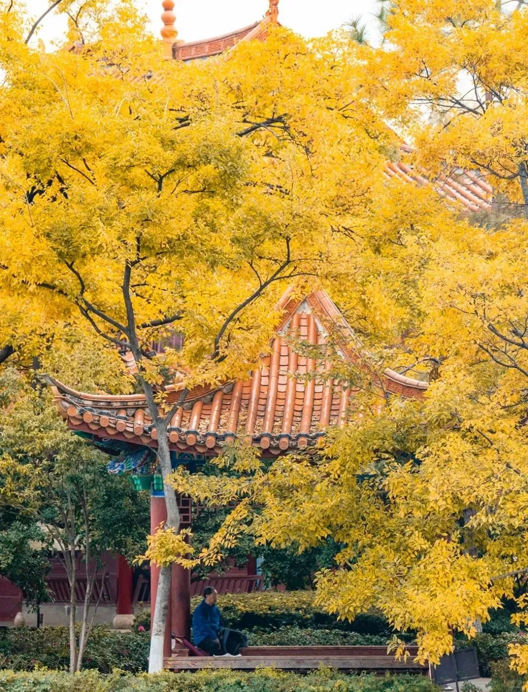 如果不差钱,退休后首选这4座城市久居,物