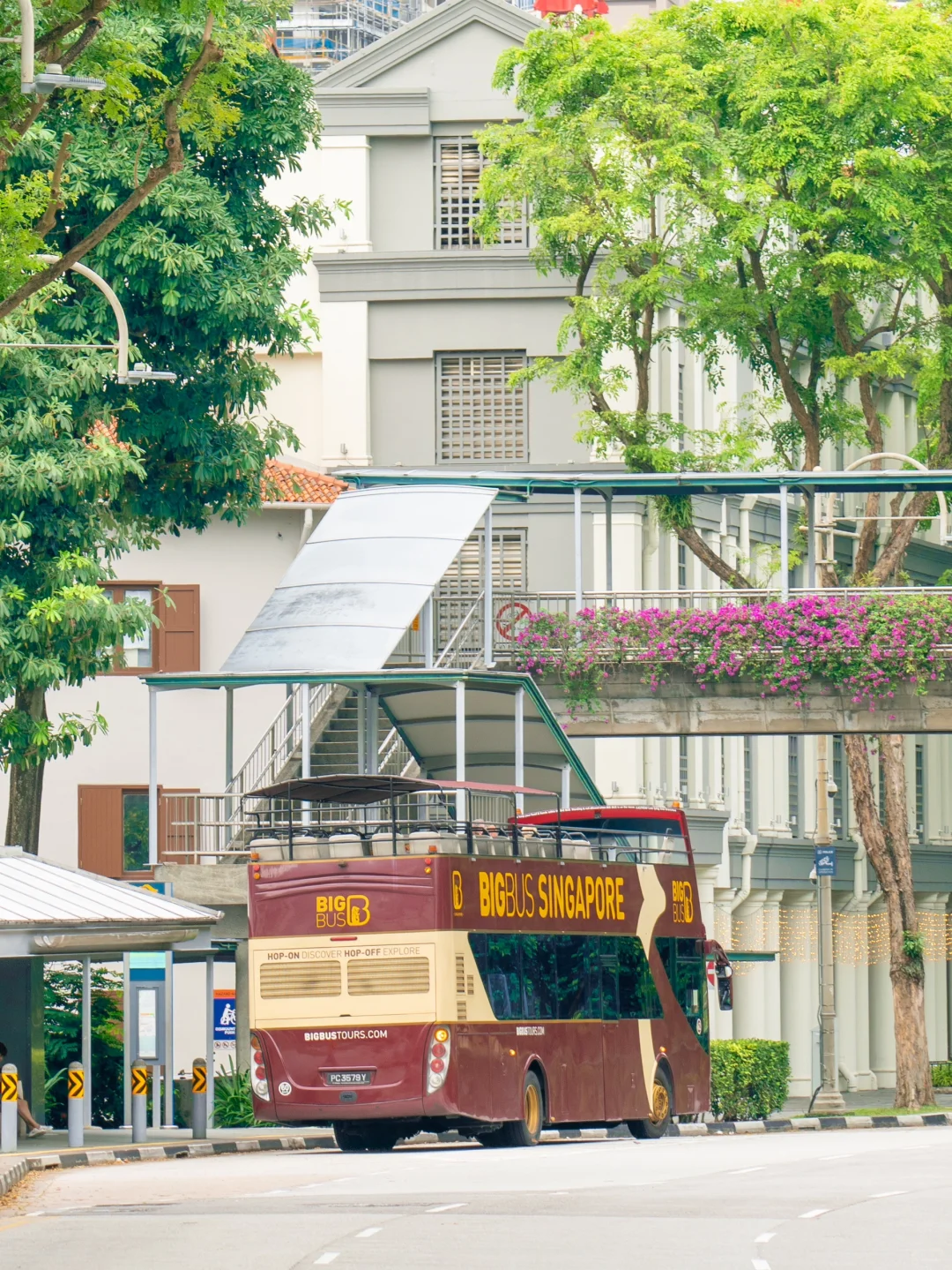 为了这18张照片…我特意飞趟新加坡✈️值得么