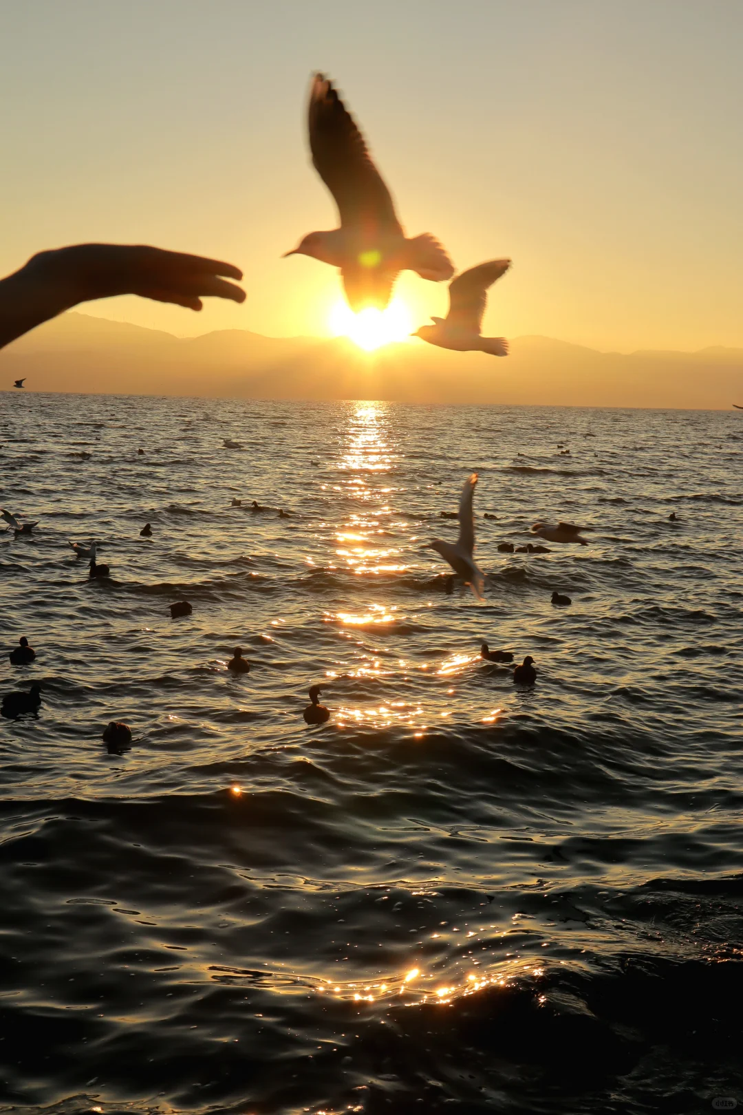 大理📍3天2晚旅游攻略 （懒人照抄！😭