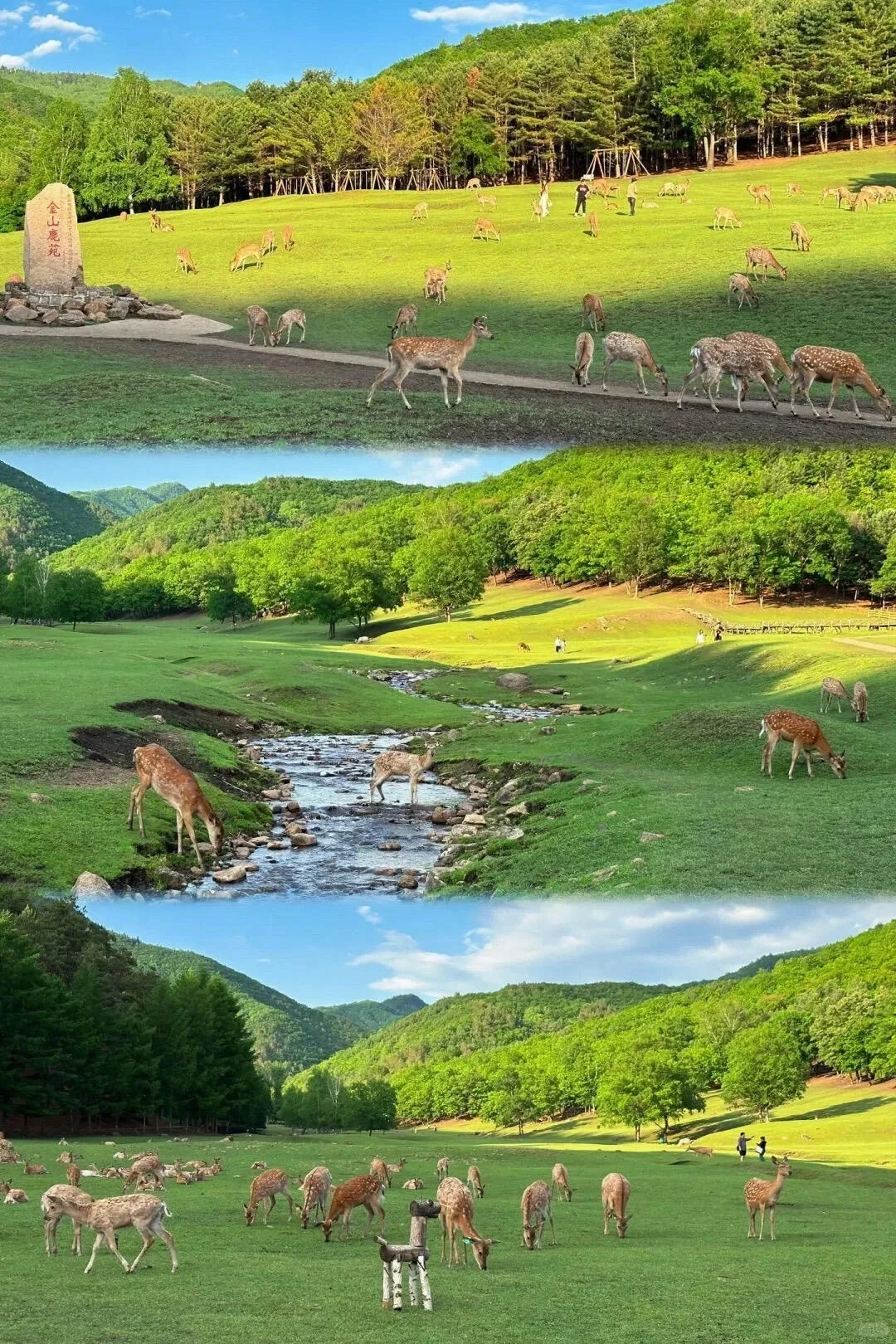 带娃旅行秘诀，得按照孩子年龄来安排