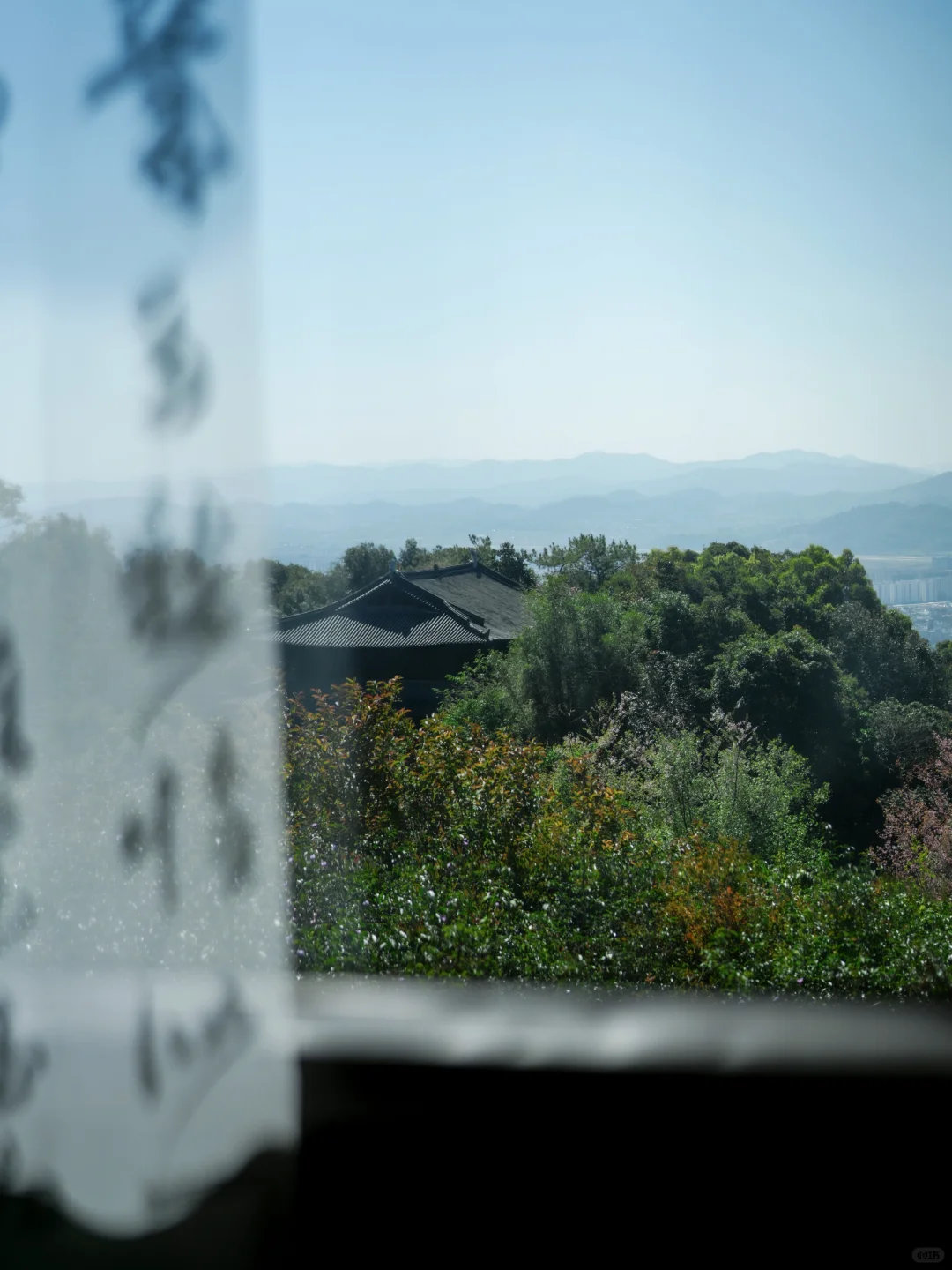 🌿穿越千年！普洱茶马古道周末游攻略📸