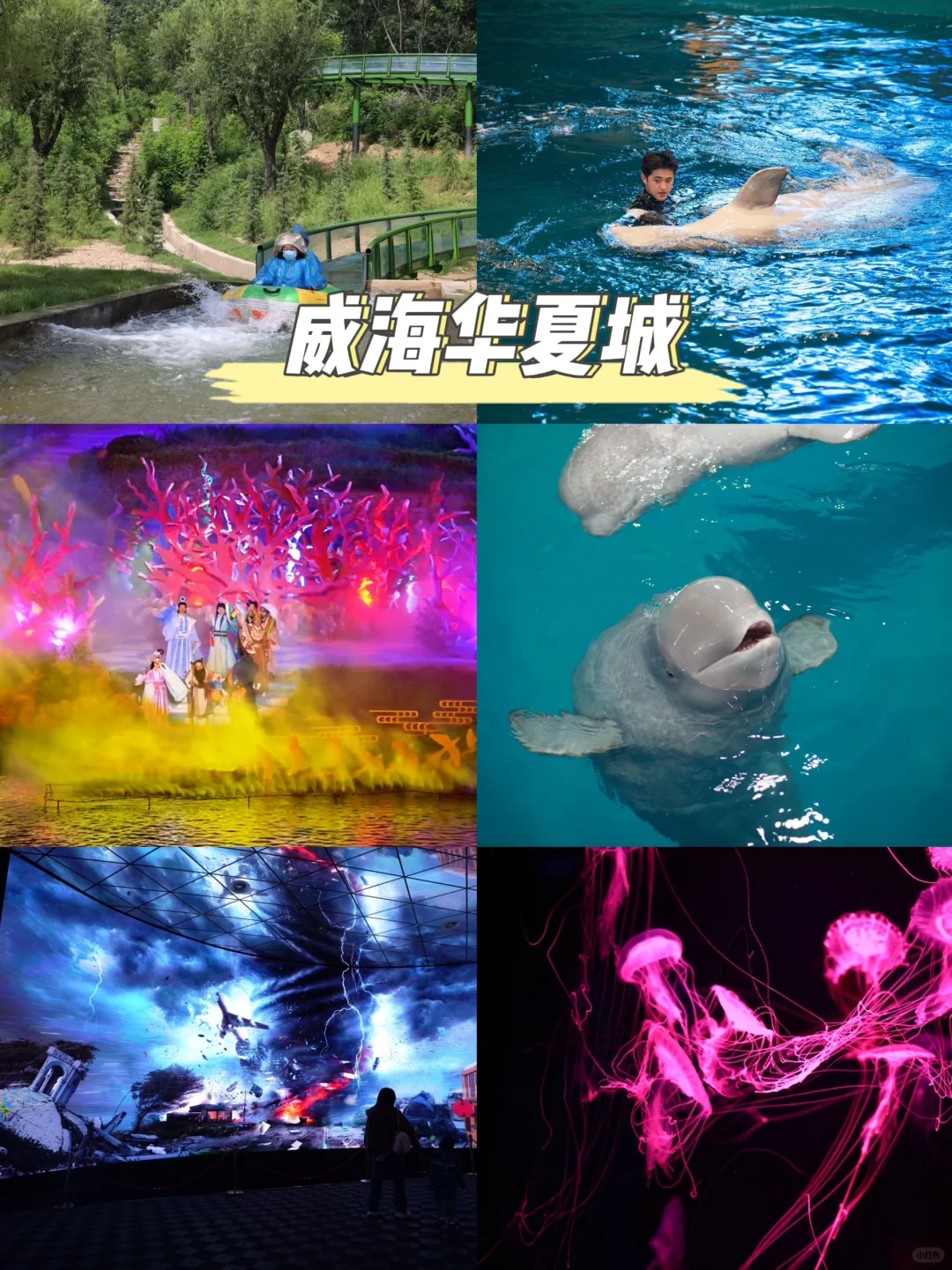 威海已回…纯干货攻略已备好✅请抄作业💯