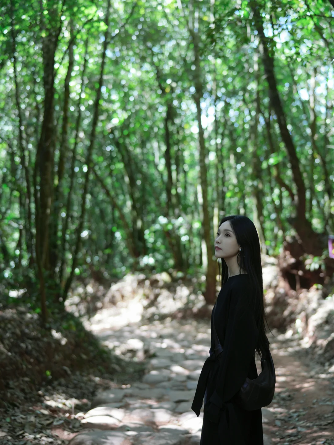 🌿穿越千年！普洱茶马古道周末游攻略📸