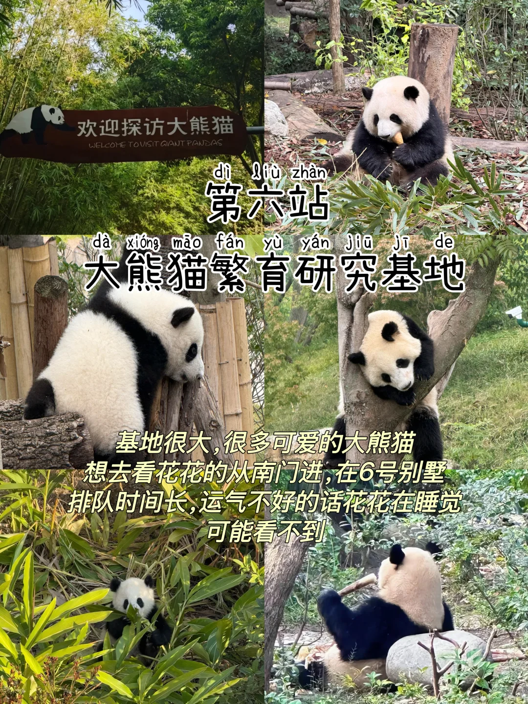 成都📍三天两夜，不废腿保姆级逛吃攻略‼️