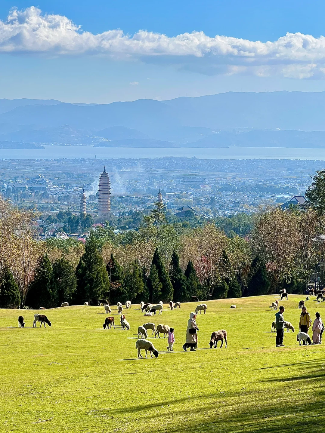 大理我很喜欢的一个地方，真的像新西兰！
