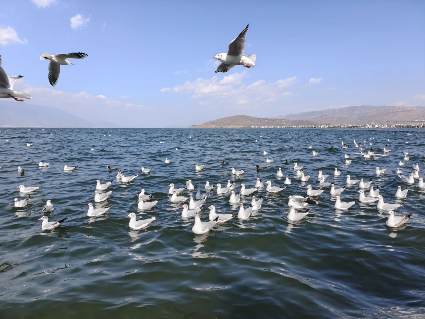 云南五日旅游攻略~昆明-大理-丽江