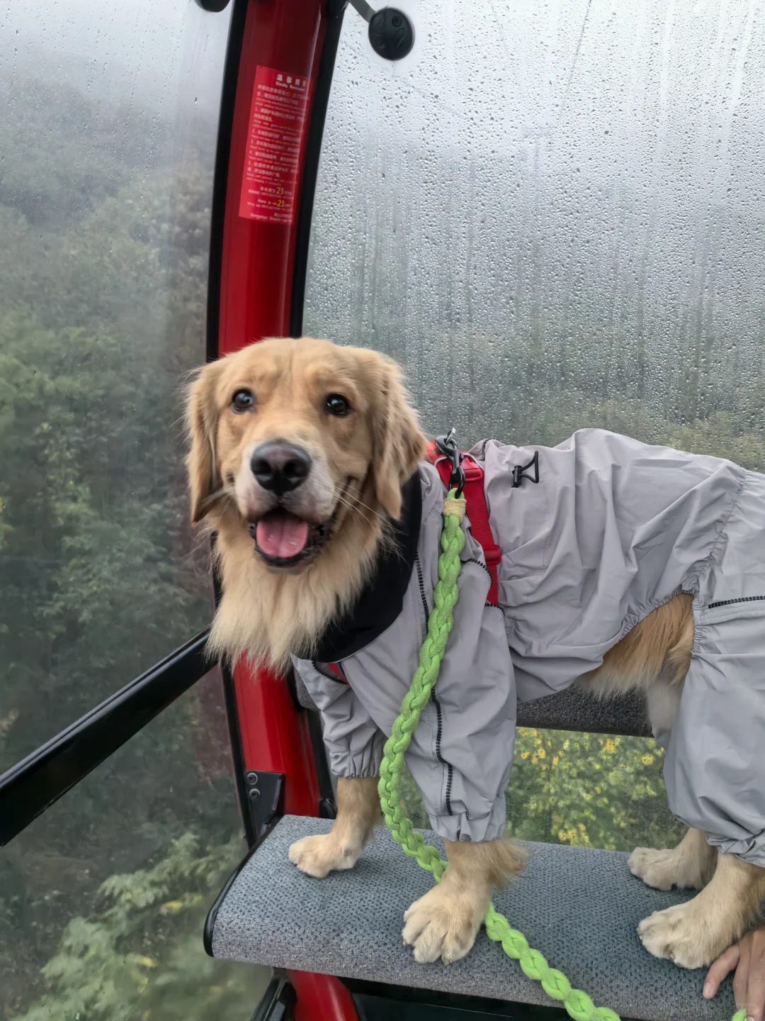 2024带狗狗去过的宠物友好城市景区（推荐）