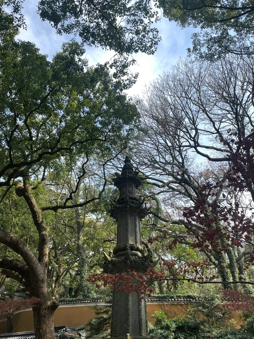 🙏普陀山不早起暴走攻略｜7h解锁精华景点✅