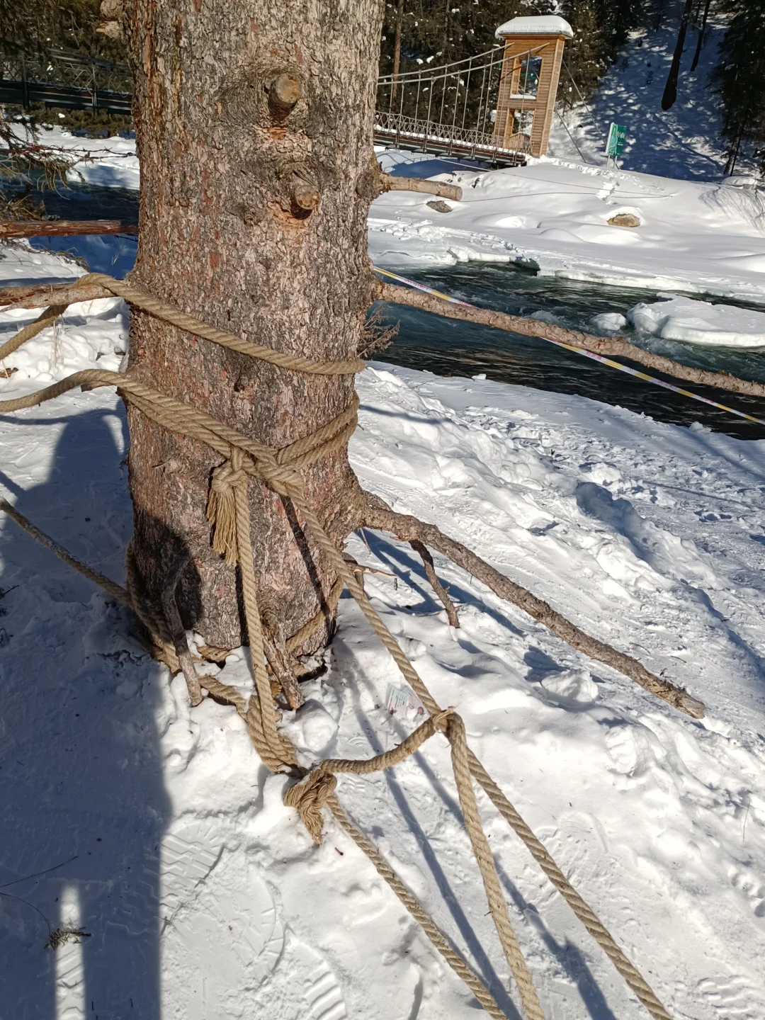 哈纳斯景区河边捡到两张身份证