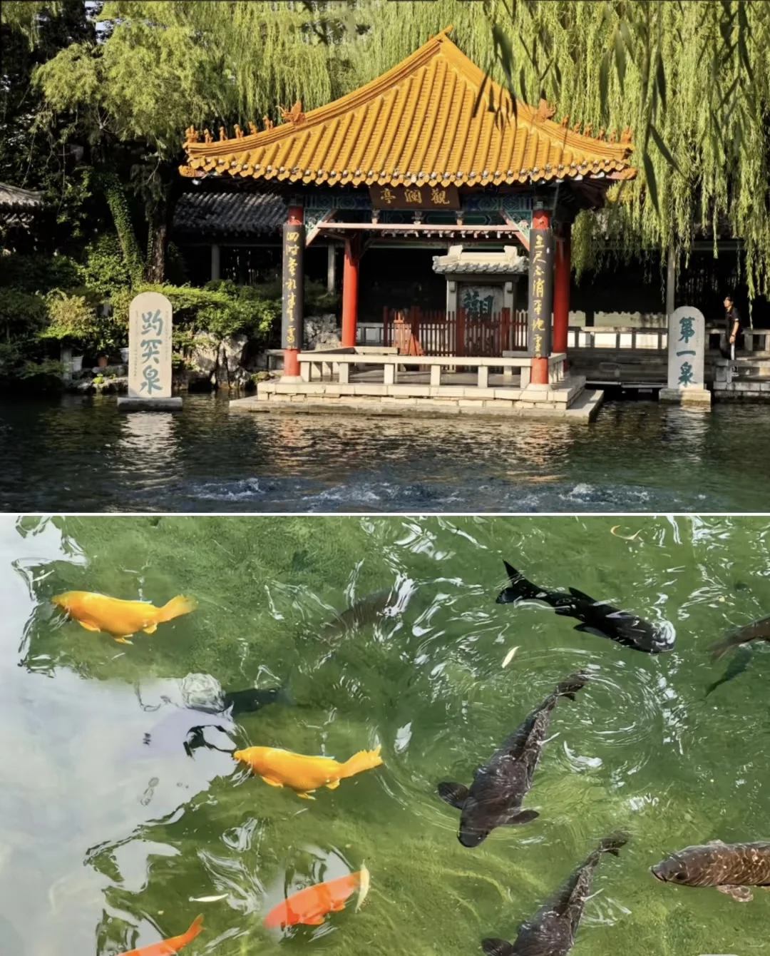 济南旅游攻略来喽！！！