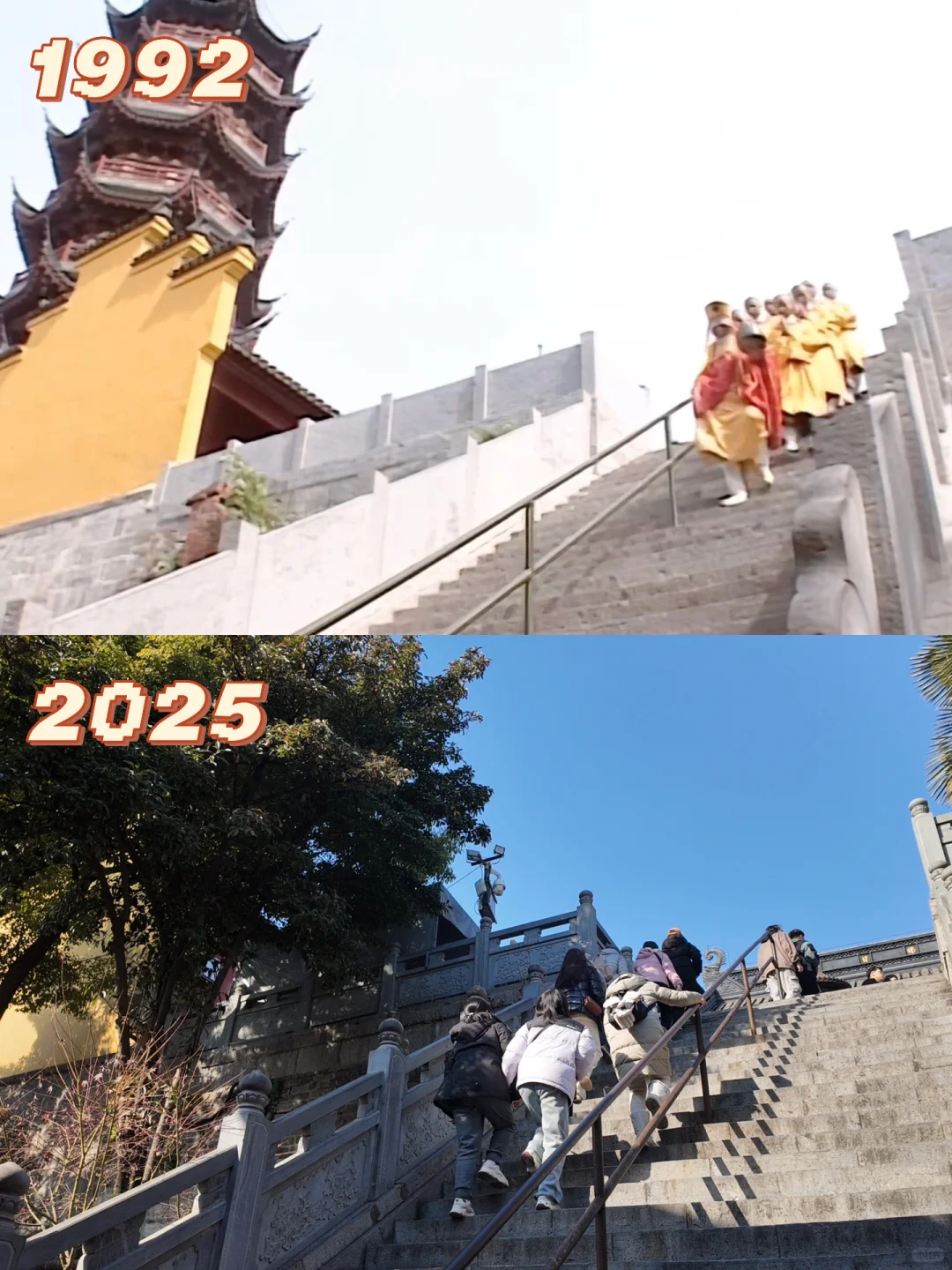 来鸡鸣寺只干一件事👀