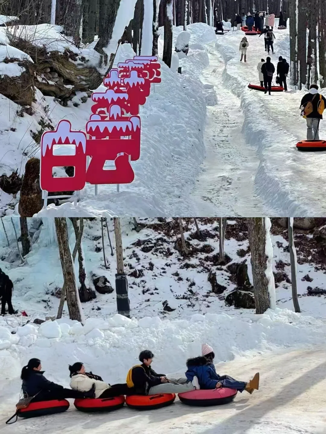 洛阳白云山旅游刚回来，我的建议是：