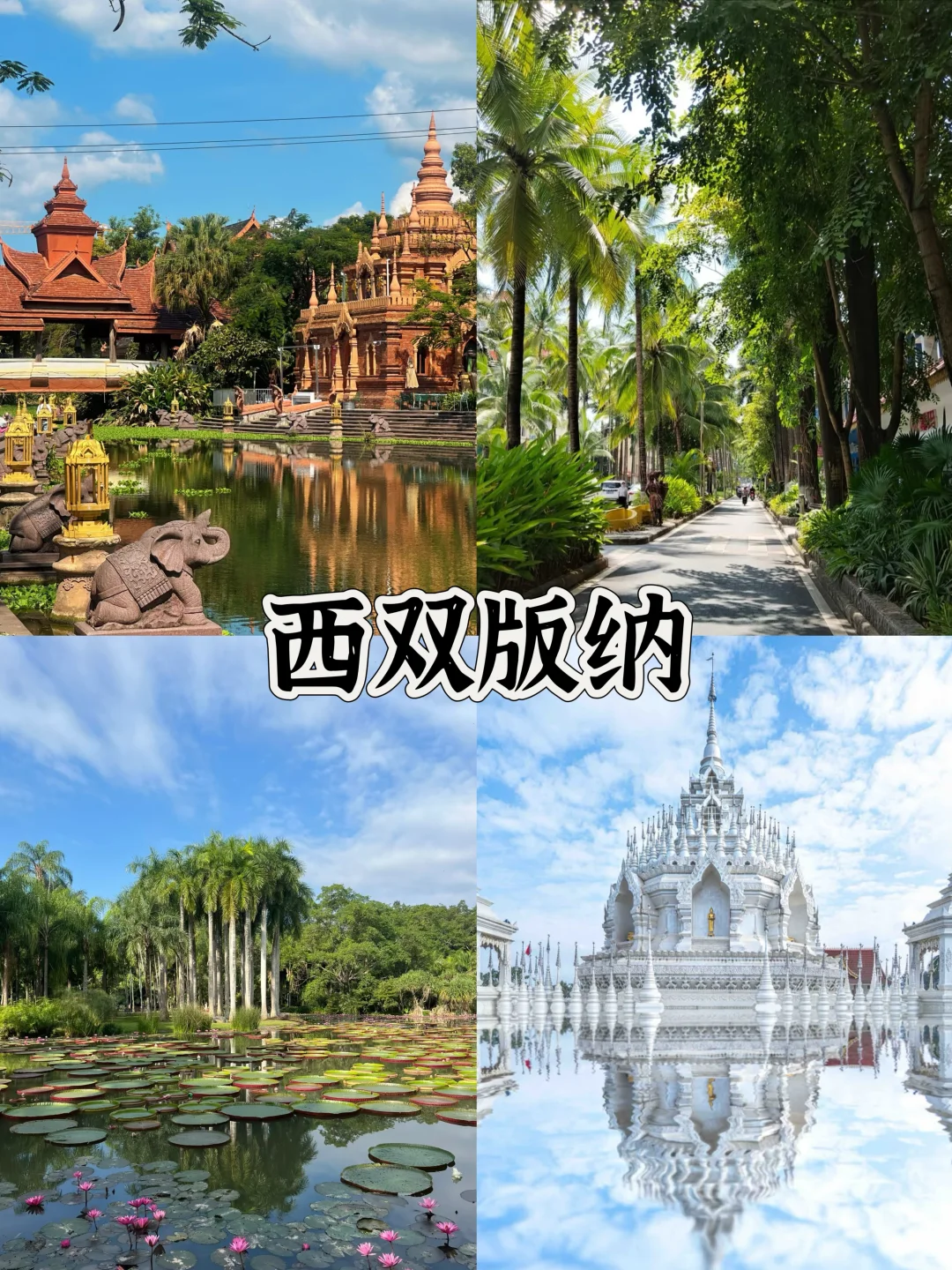 云南必去的十个景点游玩攻略🔥