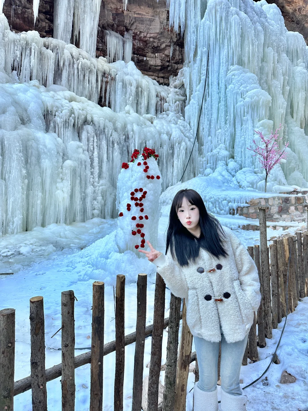 邯郸武安冰封玫瑰