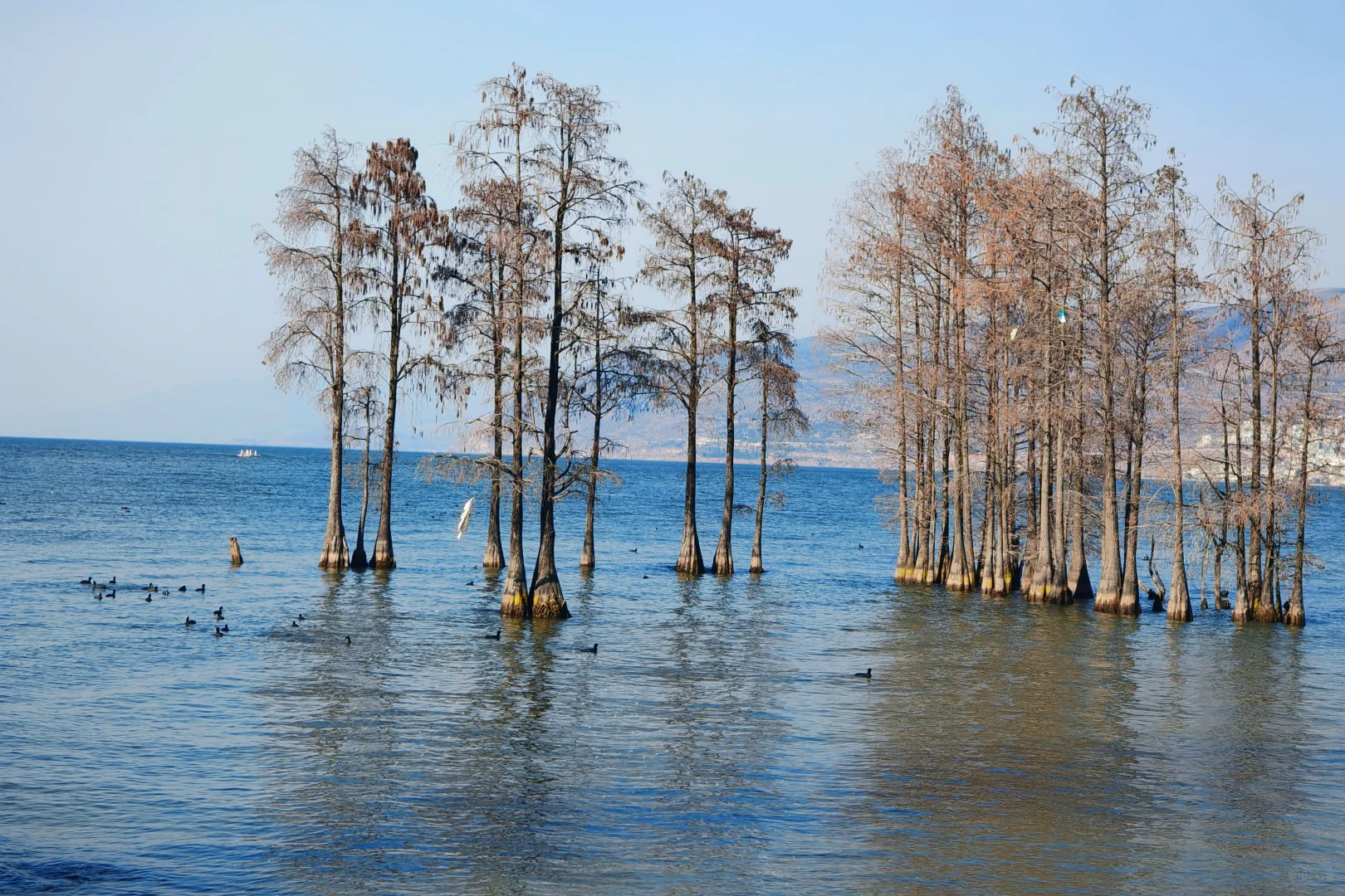 云南五日旅游攻略~昆明-大理-丽江
