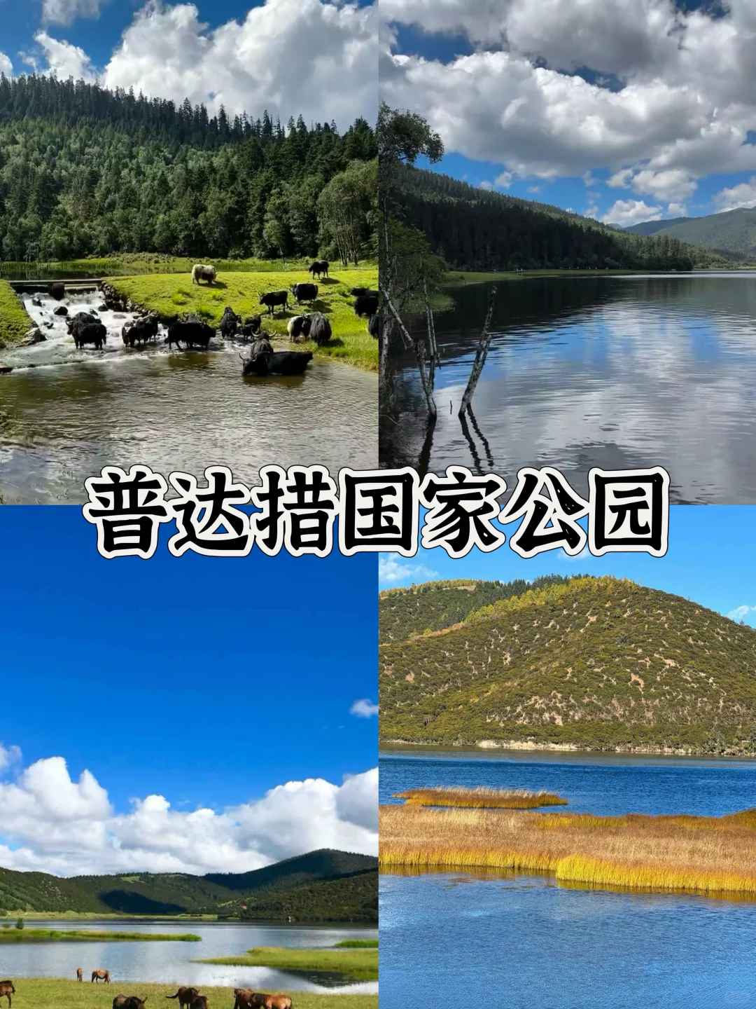 云南必去的十个景点游玩攻略🔥