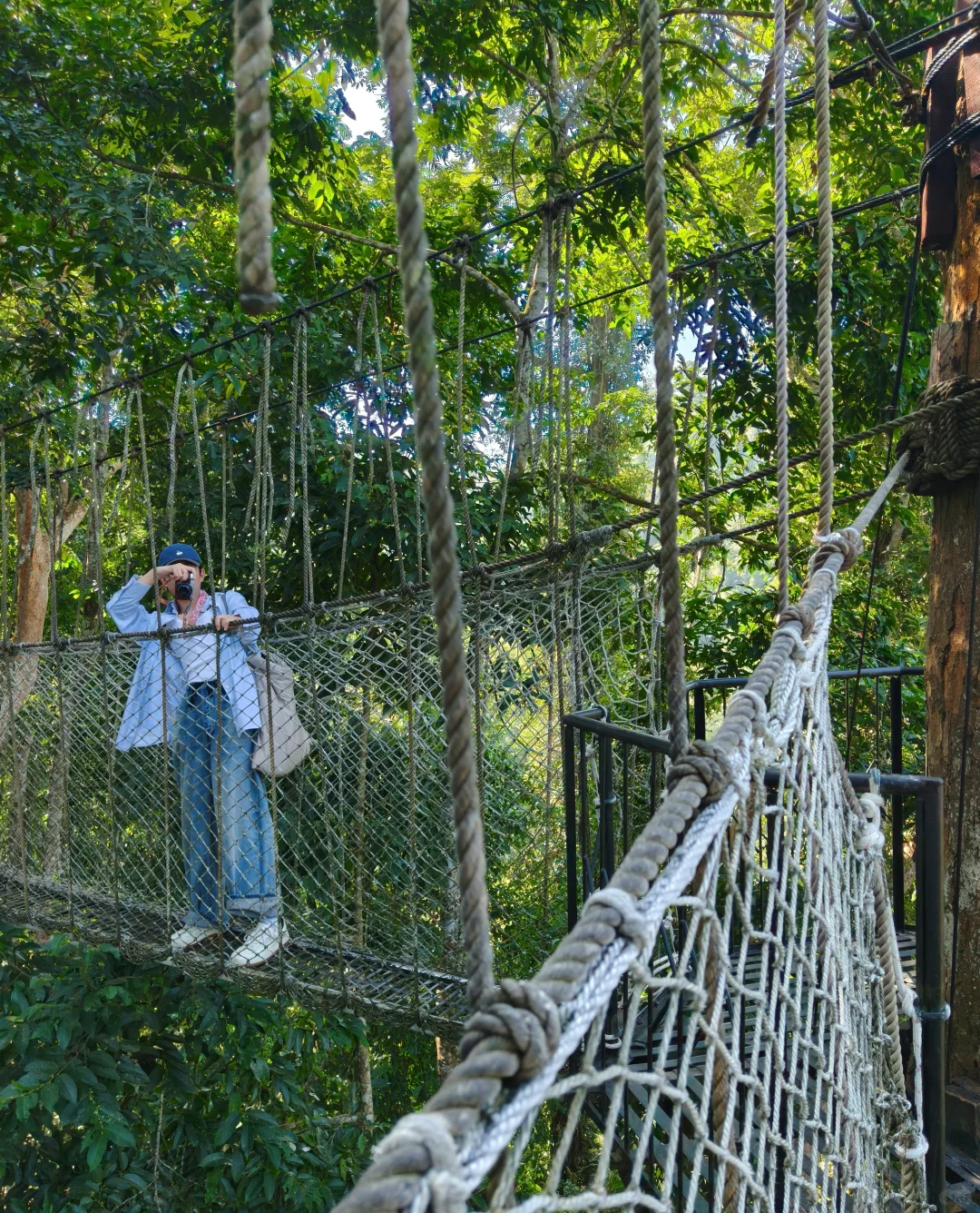 美丽的西双版纳