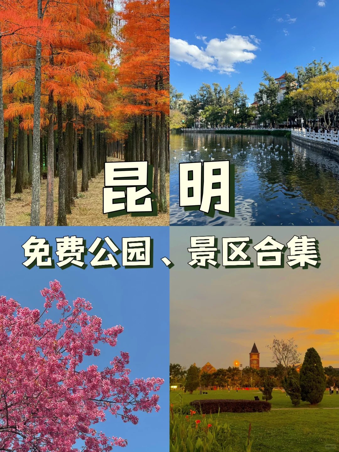 昆明｜免费公园、展馆、景区合集🌿周末好去处