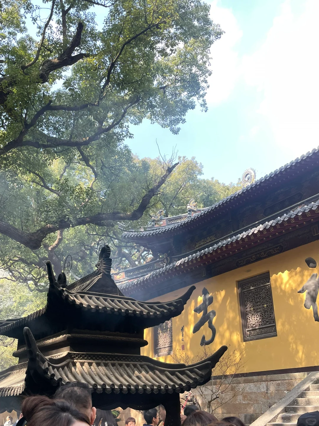 🙏普陀山不早起暴走攻略｜7h解锁精华景点✅