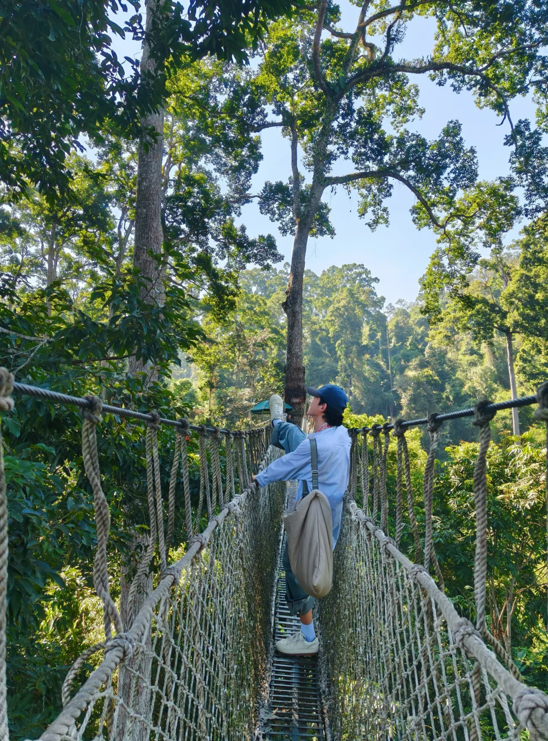 美丽的西双版纳