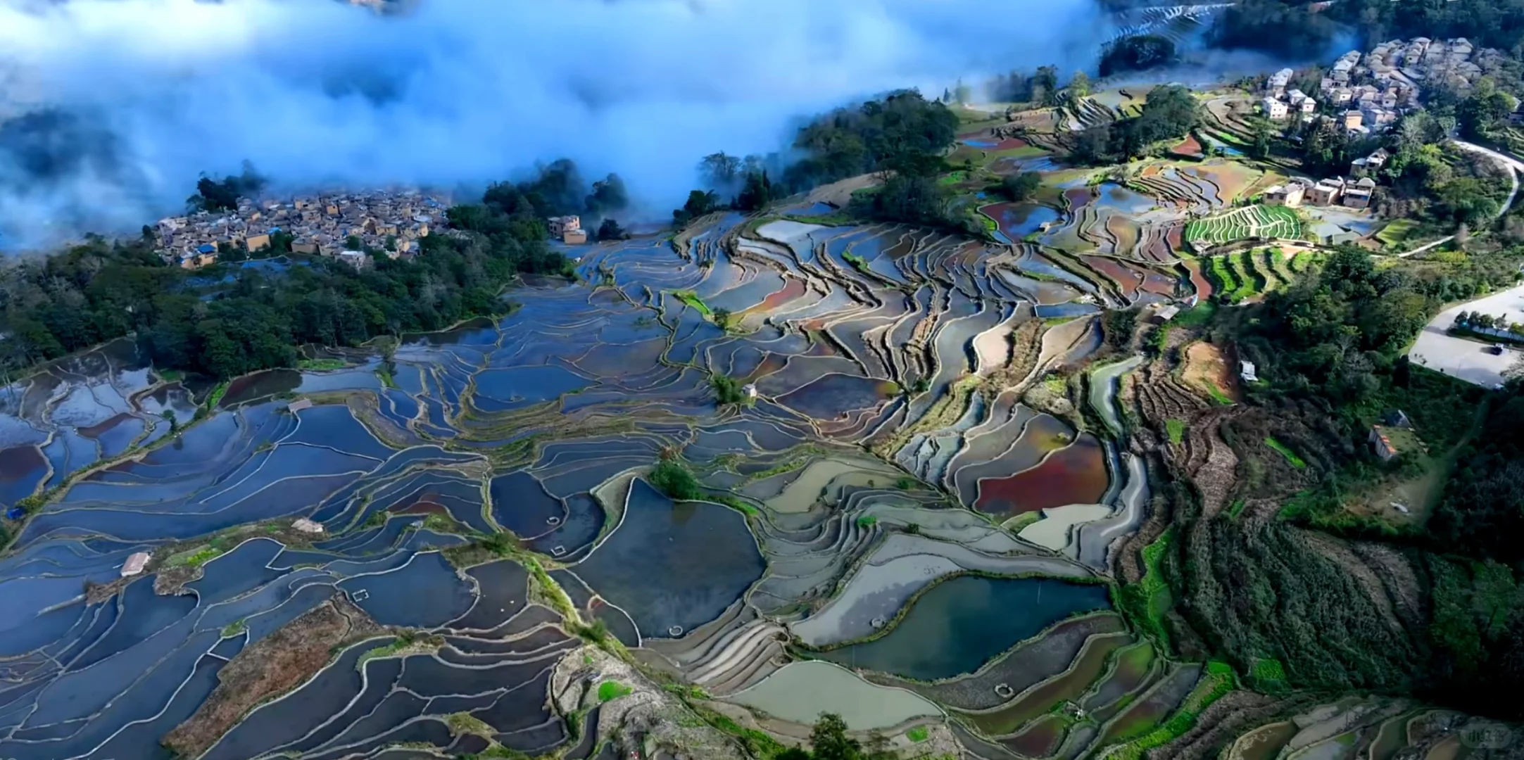 🌟 云南元阳梯田｜人均800+玩转人间仙境！