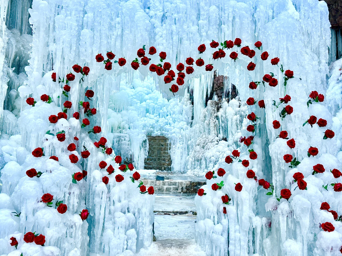 邯郸武安冰封玫瑰