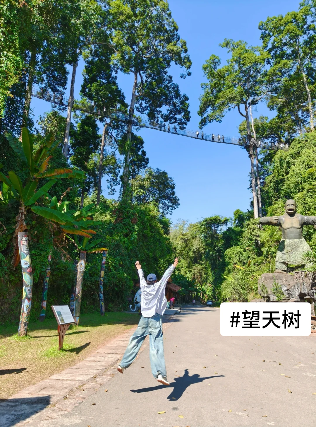 美丽的西双版纳