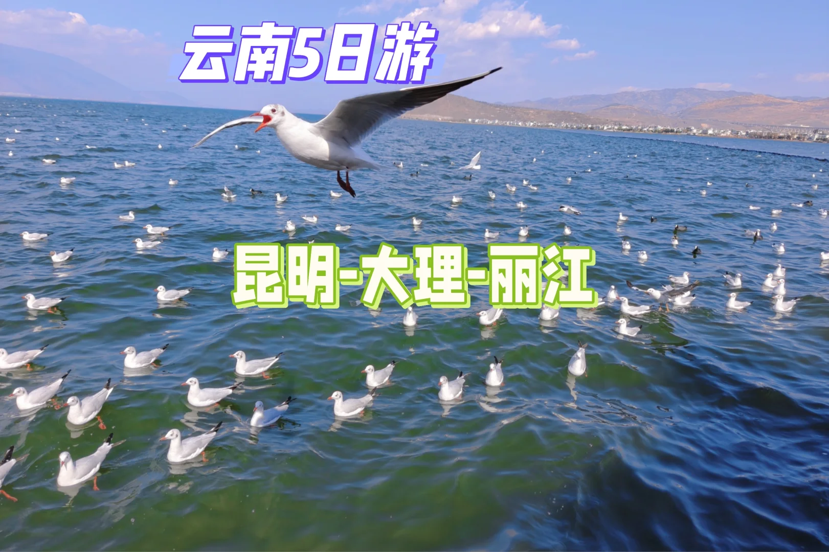 云南五日旅游攻略~昆明-大理-丽江