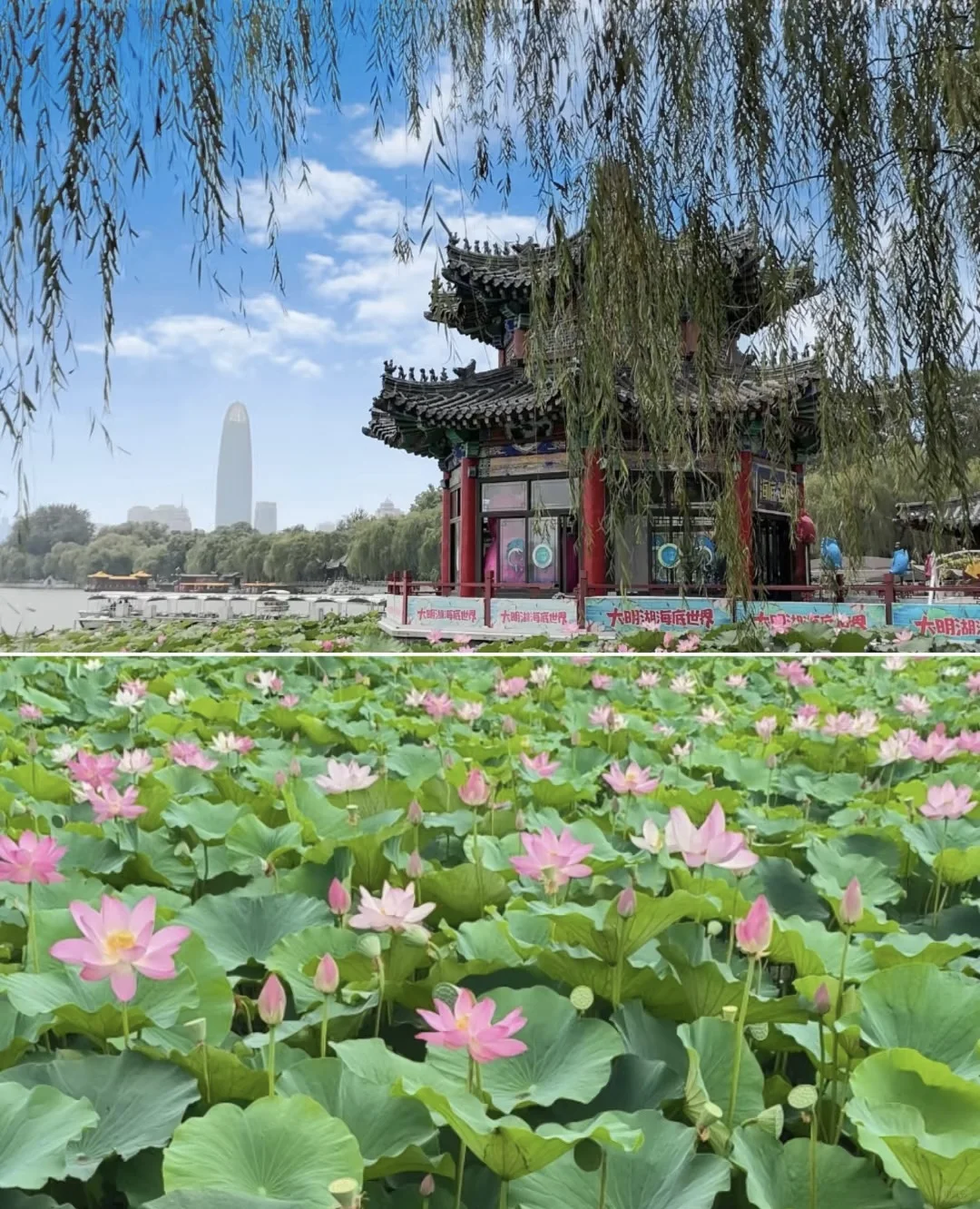 济南旅游攻略来喽！！！