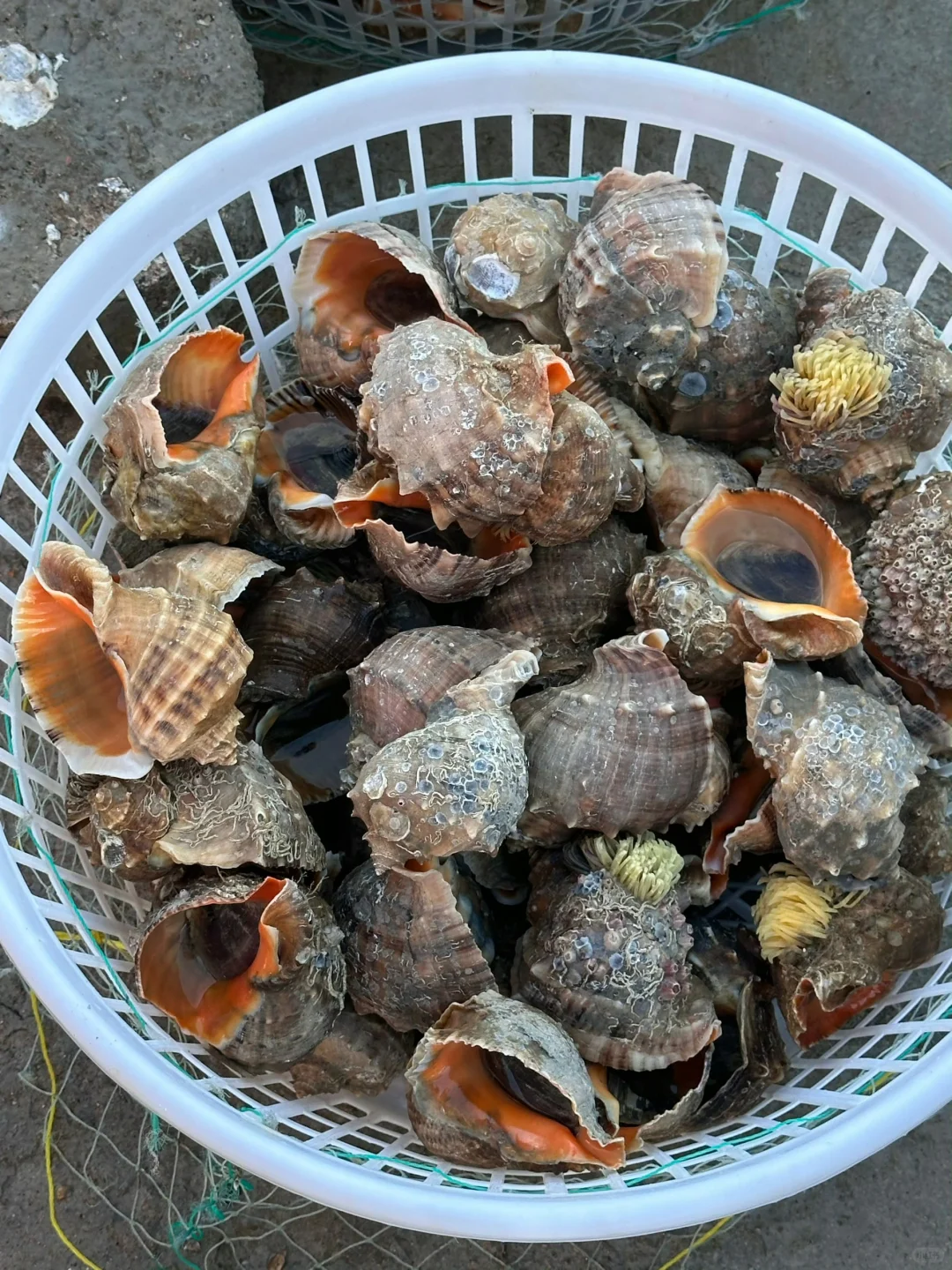 03女大📍青岛/两天一夜精华版旅游攻略❗️