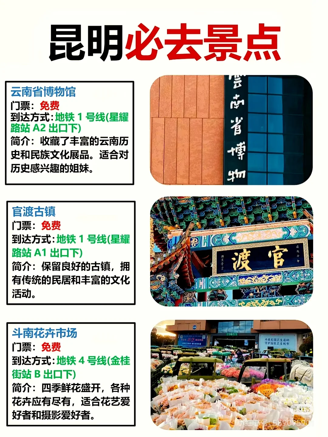 到昆明必去的景点