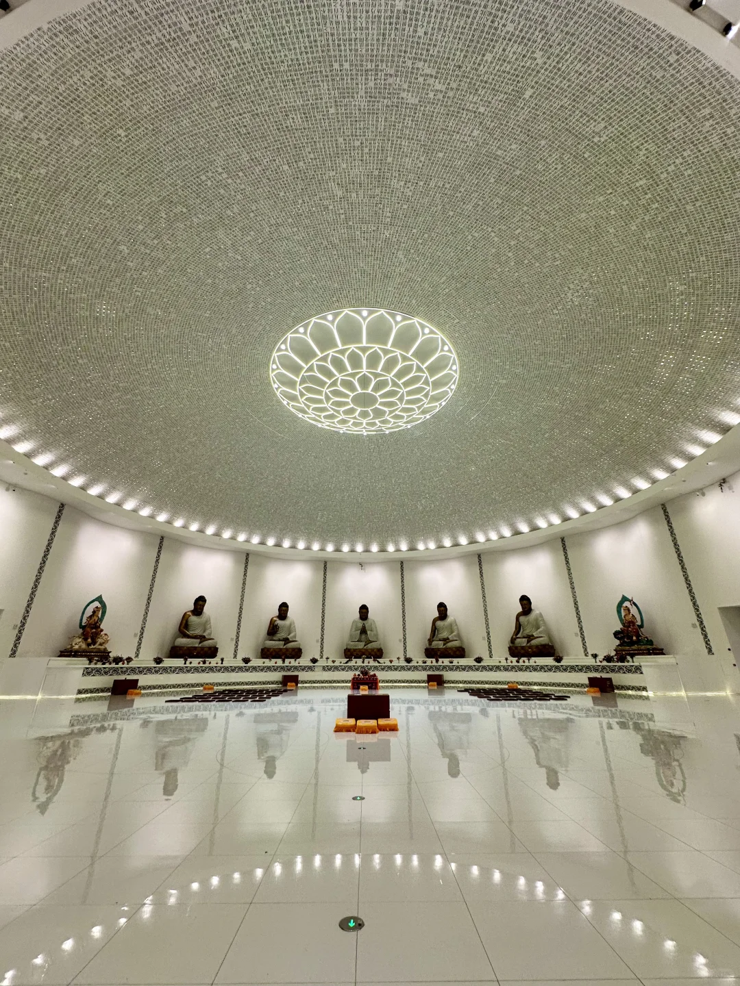 武汉这里🙏🏻!!!终于开了!!免费!!附live图!